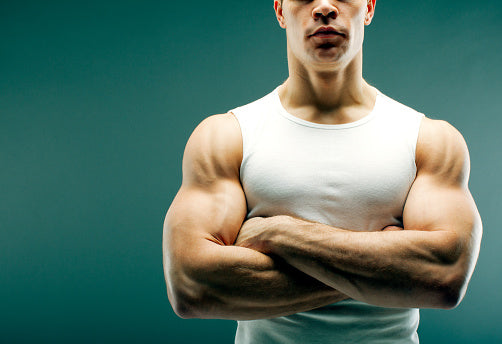 2024 IDEA Fitness Journal Issue 3, Quiz 1: Muscle Hypertrophy and Blood Flow Restriction Training