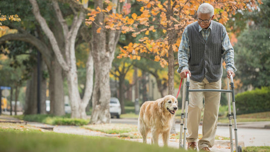 Stroke Recovery Specialist